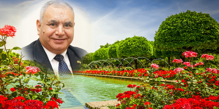 مصر ليست دولة تاريخية ، مصر جائت ثم جاء التاريخ