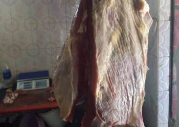 ضبط لحوم مذبوحة خارج المجازر و 46 كجم أسماك غير صالحة للإستهلاك