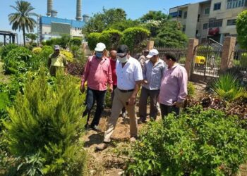  المحموديه تتجمل يوم بعد يوم واعمال تطوير وتجميل مستمرة بحدائق الوحدة المحلية