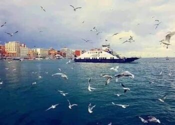 قصيدة فوق قنالك يابورسعيد