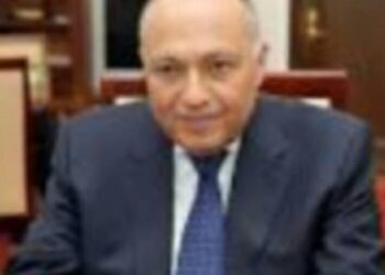 شكري يجري اتصالاً هاتفياً مع نظيره الروسي