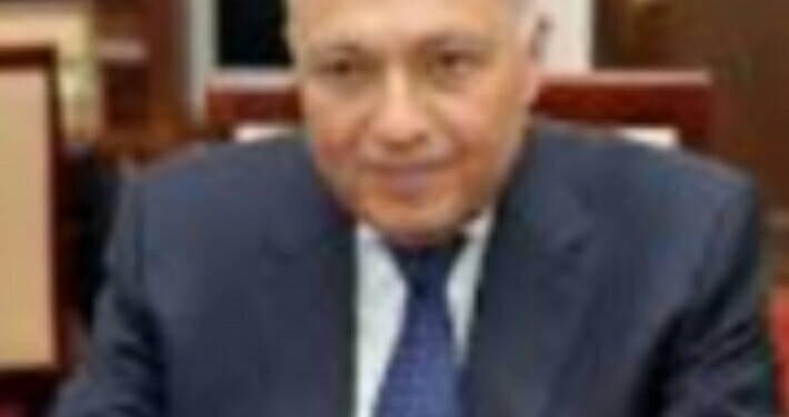 شكري يجري اتصالاً هاتفياً مع نظيره الروسي