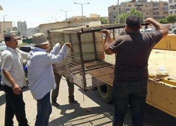 حي المناخ يشن حملة لإزالة الاشغالات بنطاق الحي