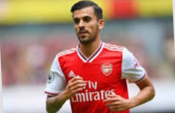 سيبايوس لن يكون أمامه خيار العودة إلى ريال مدريد الموسم القادم، بسبب عدم حاجة لزيدان خدماته.