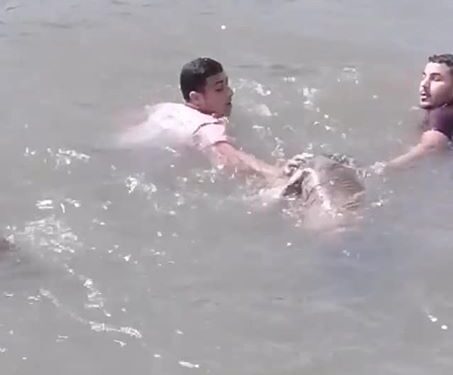 غريق ههيا مجهول الهوية