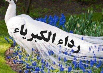 رداء الكبرياء