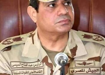 ماذا يريدون السفهاء!! من مصر