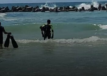 2020عام المرض والموت