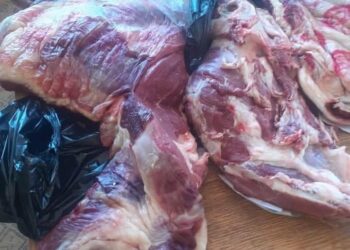 تموين البحيرة تواصل حملاتها الرقابية على الأسواق والمجازر والصيدليات قبيل عيد الأضحى المبارك 