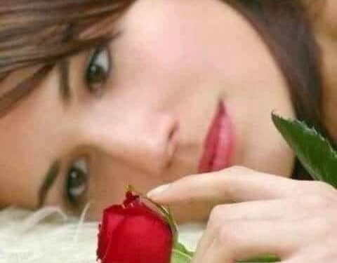 جميعهن جميلات