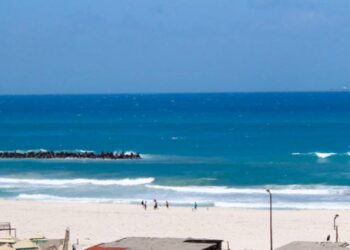 انتشال 7 غرقى بشاطىء النخيل، وانقاذ 2 من اصل 11