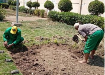 منوفية :أعمال التطوير الحضاري بالباجور