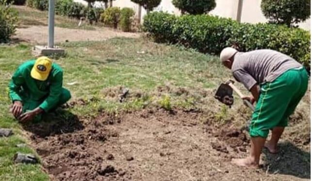 منوفية :أعمال التطوير الحضاري بالباجور