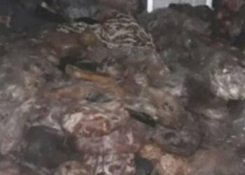 ضبط مصنع غير مرخص بالجيزة وبداخله 1,5 طن منتجات ومقطعات لحوم غير صالحة للإستهلاك