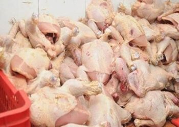 ضبط مديرمجزر دواجن بأبو النمرس غير صالحة للاستهلاك الادمى