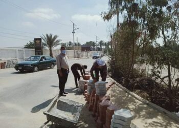 الوحدة المحلية تقوم بتطوير ورفع كفاءة مداخل مدينة قويسنا