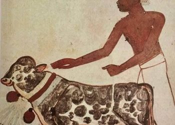 الأضحيه عند قدماء المصريين