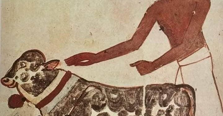 الأضحيه عند قدماء المصريين