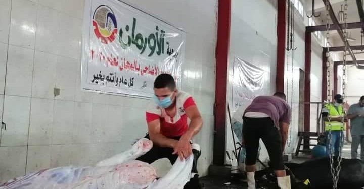 ذبح ١٠ عجول وتوزيعها على مستحقيها من محدودي الدخل بـ٩ قرى بنطاق المحافظة