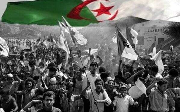 تضحيات لا تنسى فى قلوب الجزائريين