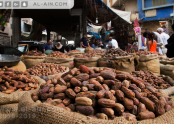 التمور الأسوانية على طريق العالمية.
