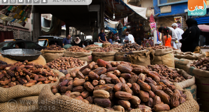 التمور الأسوانية على طريق العالمية.