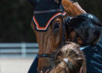 “صبحى “يشيد بإنجاز لاعب منتخب الفروسية بفوزه ببطولة قفز الحواجز ببلجيكا