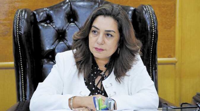 برنامج زيارة وزير التنمية المحلية والإسكان لدمياط غدا