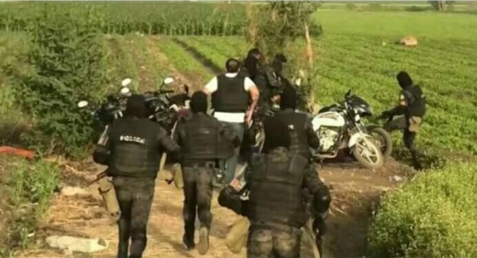 حملات أمنية موسعة لتحقيق الأمن ومواجهة كافة أشكال الخروج عن القانون