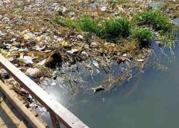 استغاثة من اهالى  نجع هلال بالمراغة للمسئولين .. القمامة تغطي القرية