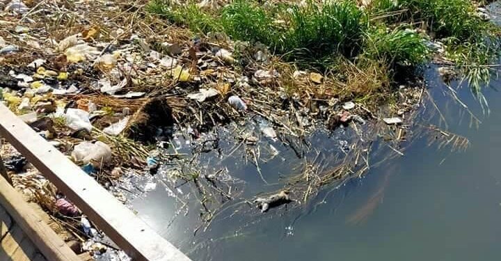 استغاثة من اهالى  نجع هلال بالمراغة للمسئولين .. القمامة تغطي القرية