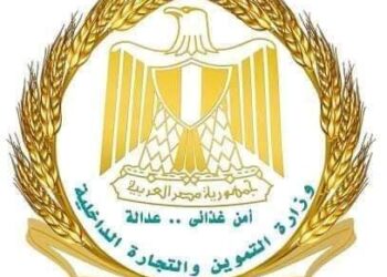 وزارة التموين والتجارة الداخلية