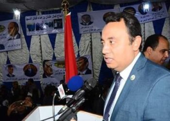 الشهاوى : أردوغان سرق تبرعات كورونا لصالح المرتزقة على حساب شعبه