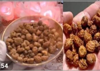 فوائد حب العزيز حب الزلم