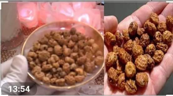 فوائد حب العزيز حب الزلم جريدة حكاية وطن