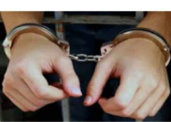 القبض على فتاة بالإسكندرية لقيامها بنشر مقاطع فيديو خادشة للحياء ومنافية للأداب العامة على مواقع التواصل الإجتماعى