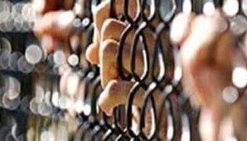 ضبط أحد الأشخاص بالإسكندرية لقيامه بالتعدى على كلب بالضرب بشرفة الشقة سكنه