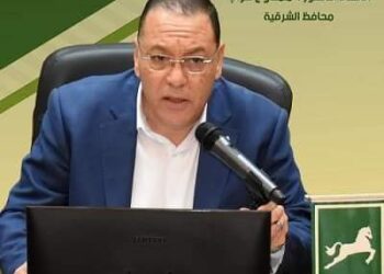 “بيطري الشرقية” يضبط 4 طن دجاج مجمد مخالف بأحد مجازر الدواجن بمركز ديرب نجم