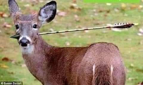 غشيم القلب الاحساس