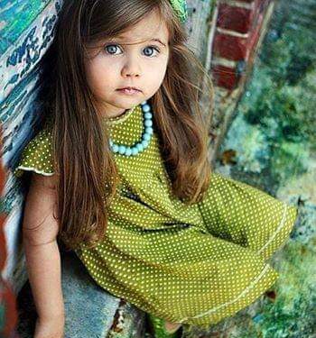 السجن والغرامة