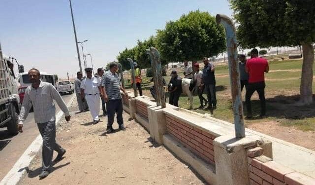 بيطري الشرقية “يُشارك في حملة للحفاظ على البيئة بالعاشر من رمضان بمنع رعي الحيوانات بالحدائق