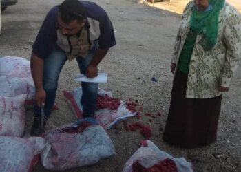 ضبط وإعدام خمس أطنان فواكة وأغذية وغلق ثلاجة كبري غير مرخصة بالعاشر من رمضان