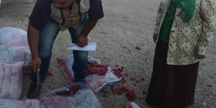 ضبط وإعدام خمس أطنان فواكة وأغذية وغلق ثلاجة كبري غير مرخصة بالعاشر من رمضان