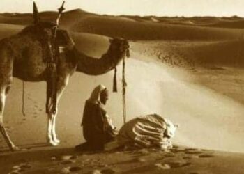 ابحث عن الذات