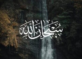 فضل التسبيح