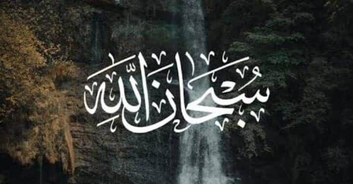 فضل التسبيح