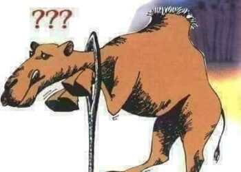 . ما هو المقصود بالاية القرانية  حتى يلج الجمل في سم الخياط