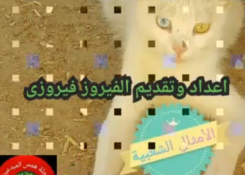 حكم وأمثال شعبية ( همس المبدعين )