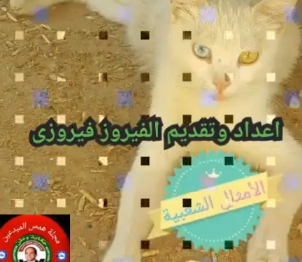 حكم وأمثال شعبية ( همس المبدعين )