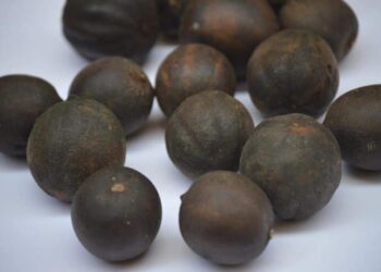 معلومة فى كبسولة الليمون الأسود وحرق دهون البطن والخصر والجوانب